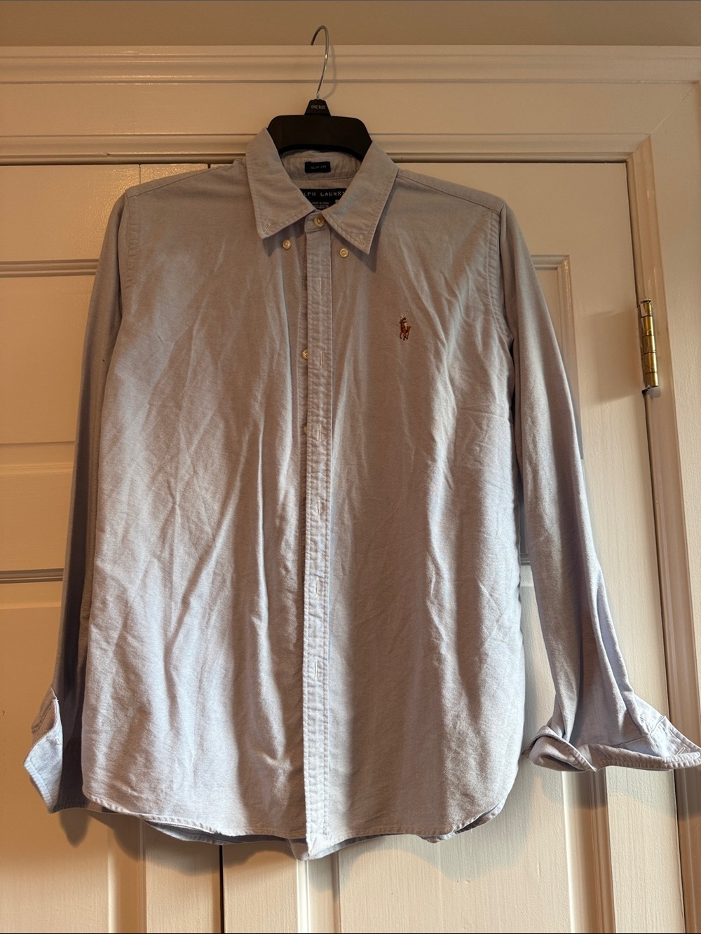 Polo by Ralph Lauren Pale Blue Button-Down Dress Shirt